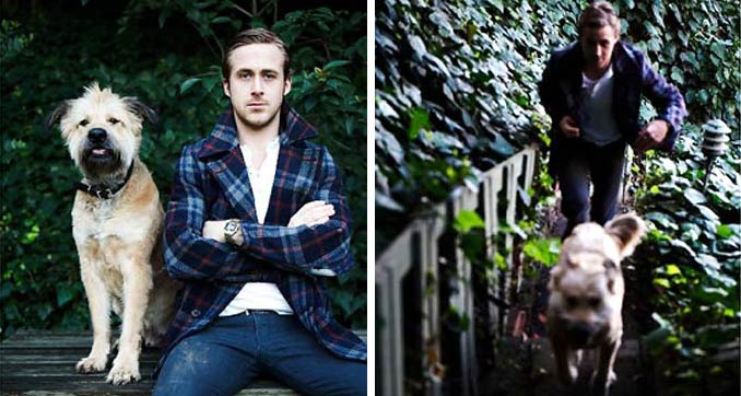 ryangosling